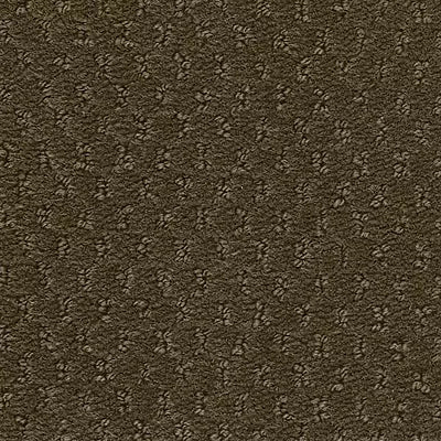 Hue-ology BC573 - 12 ft Broadloom