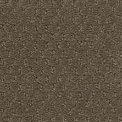 Hue-ology BC573 - 12 ft Broadloom