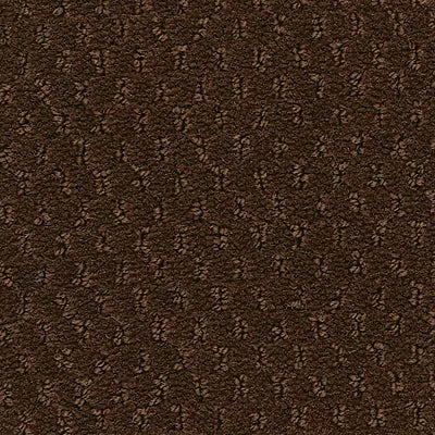 Hue-ology BC573 - 12 ft Broadloom