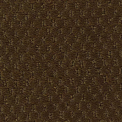 Hue-ology BC573 - 12 ft Broadloom