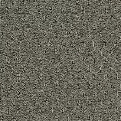 Hue-ology BC573 - 12 ft Broadloom