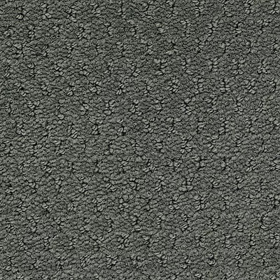 Hue-ology BC573 - 12 ft Broadloom