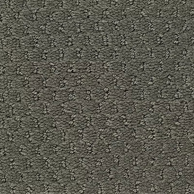 Hue-ology BC573 - 12 ft Broadloom