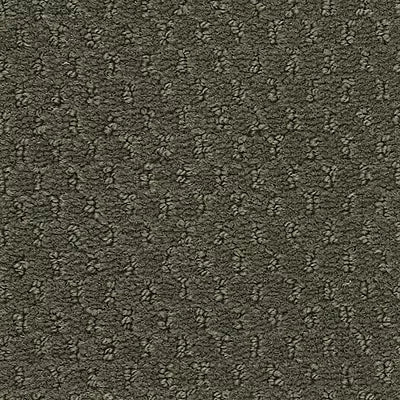 Hue-ology BC573 - 12 ft Broadloom