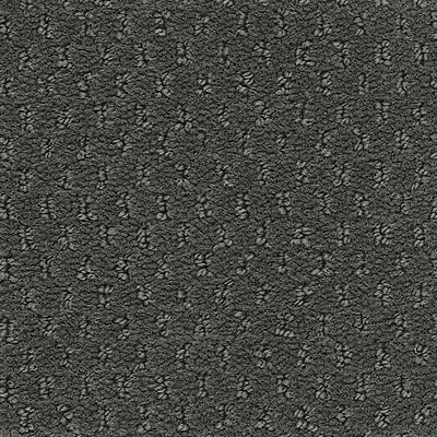 Hue-ology BC573 - 12 ft Broadloom