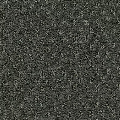 Hue-ology BC573 - 12 ft Broadloom