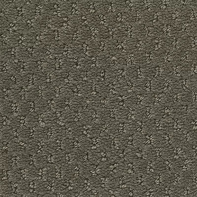 Hue-ology BC573 - 12 ft Broadloom