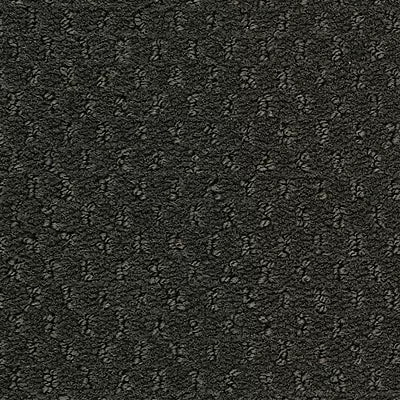 Hue-ology BC573 - 12 ft Broadloom