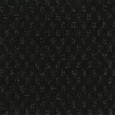 Hue-ology BC573 - 12 ft Broadloom