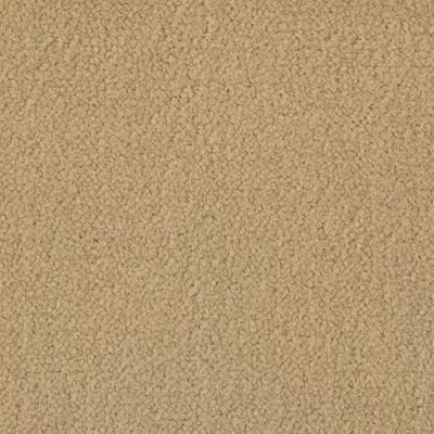 Color Study 30 BC574 - 12 ft Broadloom