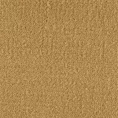 Color Study 30 BC574 - 12 ft Broadloom