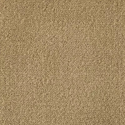 Color Study 30 BC574 - 12 ft Broadloom