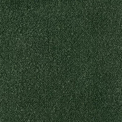 Color Study 30 BC574 - 12 ft Broadloom