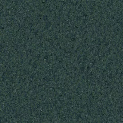 Color Study 30 BC574 - 12 ft Broadloom