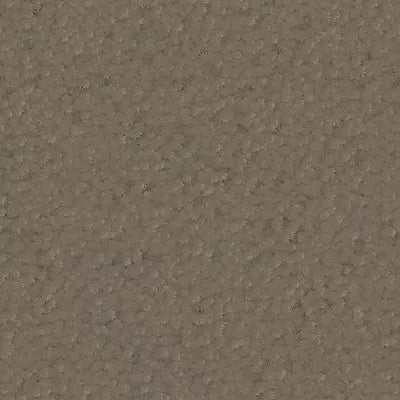 Color Study 30 BC574 - 12 ft Broadloom