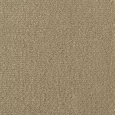Color Study 30 BC574 - 12 ft Broadloom