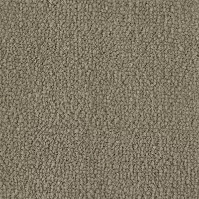 Color Study 30 BC574 - 12 ft Broadloom