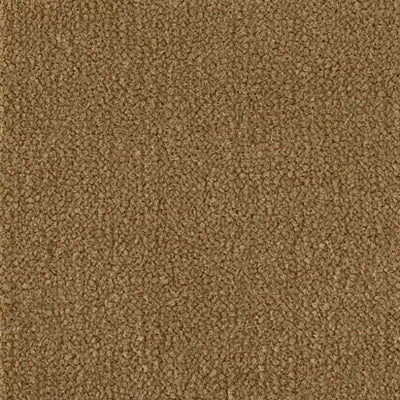Color Study 30 BC574 - 12 ft Broadloom