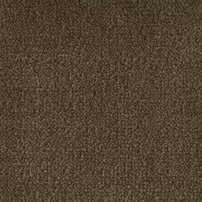 Color Study 30 BC574 - 12 ft Broadloom
