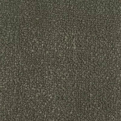 Color Study 30 BC574 - 12 ft Broadloom