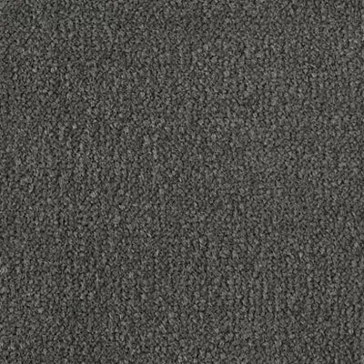 Color Study 30 BC574 - 12 ft Broadloom