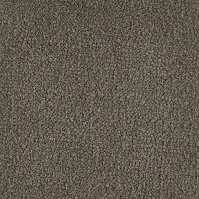 Color Study 30 BC574 - 12 ft Broadloom