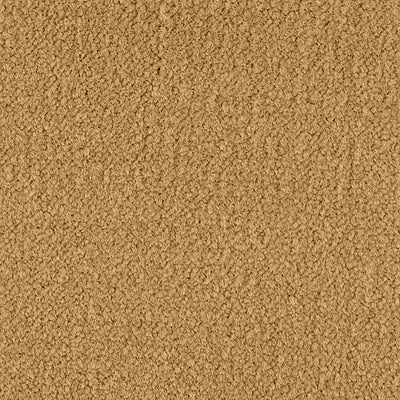 Color Study 36 BC575 - 12 ft Broadloom