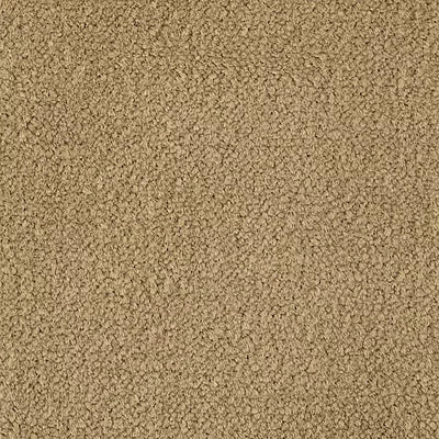 Color Study 36 BC575 - 12 ft Broadloom