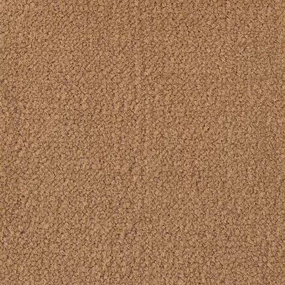 Color Study 36 BC575 - 12 ft Broadloom