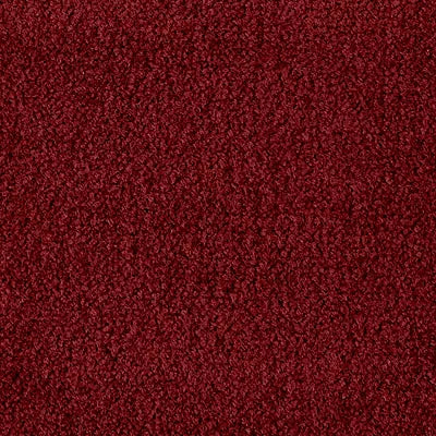 Color Study 36 BC575 - 12 ft Broadloom