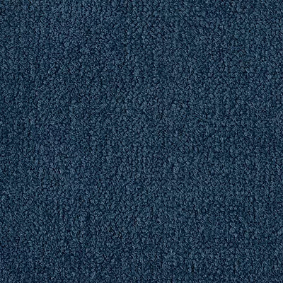 Color Study 36 BC575 - 12 ft Broadloom