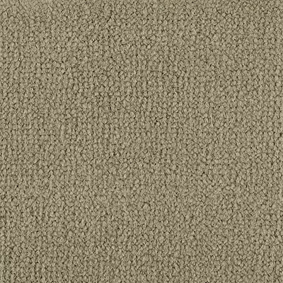 Color Study 36 BC575 - 12 ft Broadloom