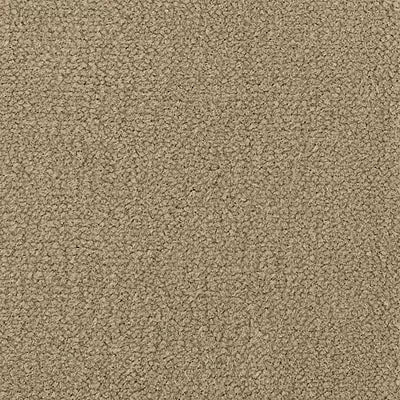 Color Study 36 BC575 - 12 ft Broadloom