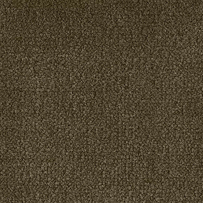 Color Study 36 BC575 - 12 ft Broadloom