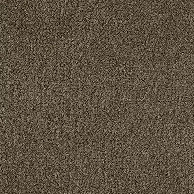 Color Study 36 BC575 - 12 ft Broadloom