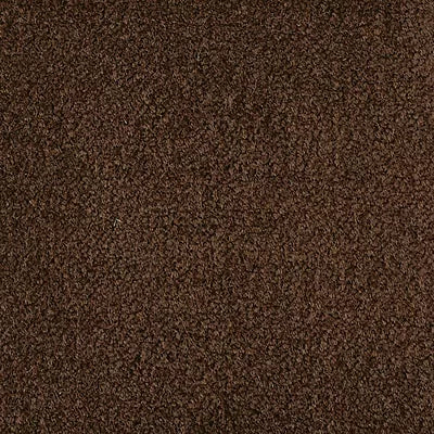Color Study 36 BC575 - 12 ft Broadloom