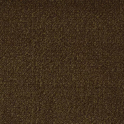 Color Study 36 BC575 - 12 ft Broadloom
