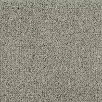 Color Study 36 BC575 - 12 ft Broadloom
