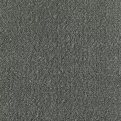 Color Study 36 BC575 - 12 ft Broadloom