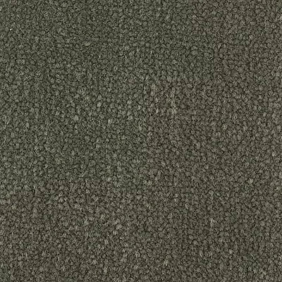 Color Study 36 BC575 - 12 ft Broadloom