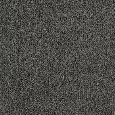 Color Study 36 BC575 - 12 ft Broadloom