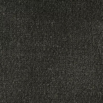 Color Study 36 BC575 - 12 ft Broadloom