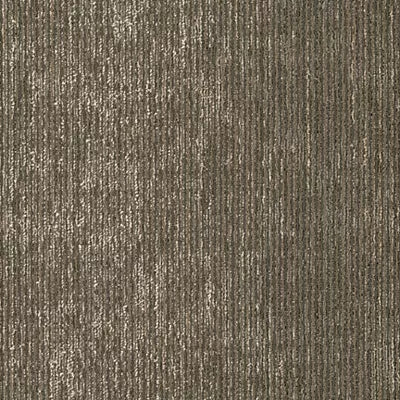 Filtering Form BT583 - 24 in x 24 in Carpet Tile