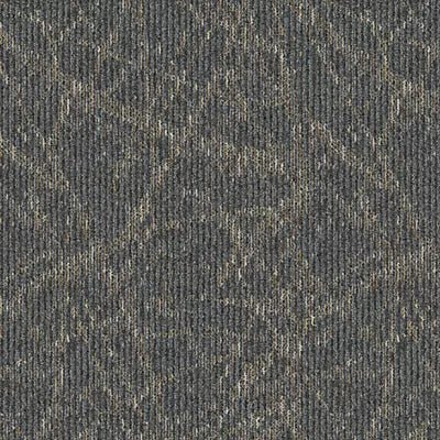 Flux Play BT584 - 24 in x 24 in Carpet Tile