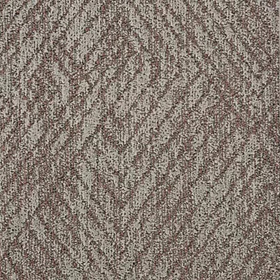 Eden Terrace BC588 - 12 ft Broadloom