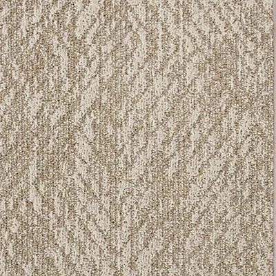 Eden Terrace BC588 - 12 ft Broadloom