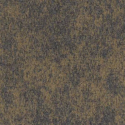 Cartesian Plane BT600 - 24 in x 24 in Carpet Tile