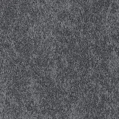 Cartesian Plane BT600 - 24 in x 24 in Carpet Tile