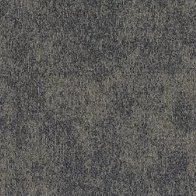 Cartesian Plane BT600 - 24 in x 24 in Carpet Tile