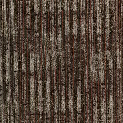 Defining Vison MD015 - 24 in x 24 in Carpet Tile